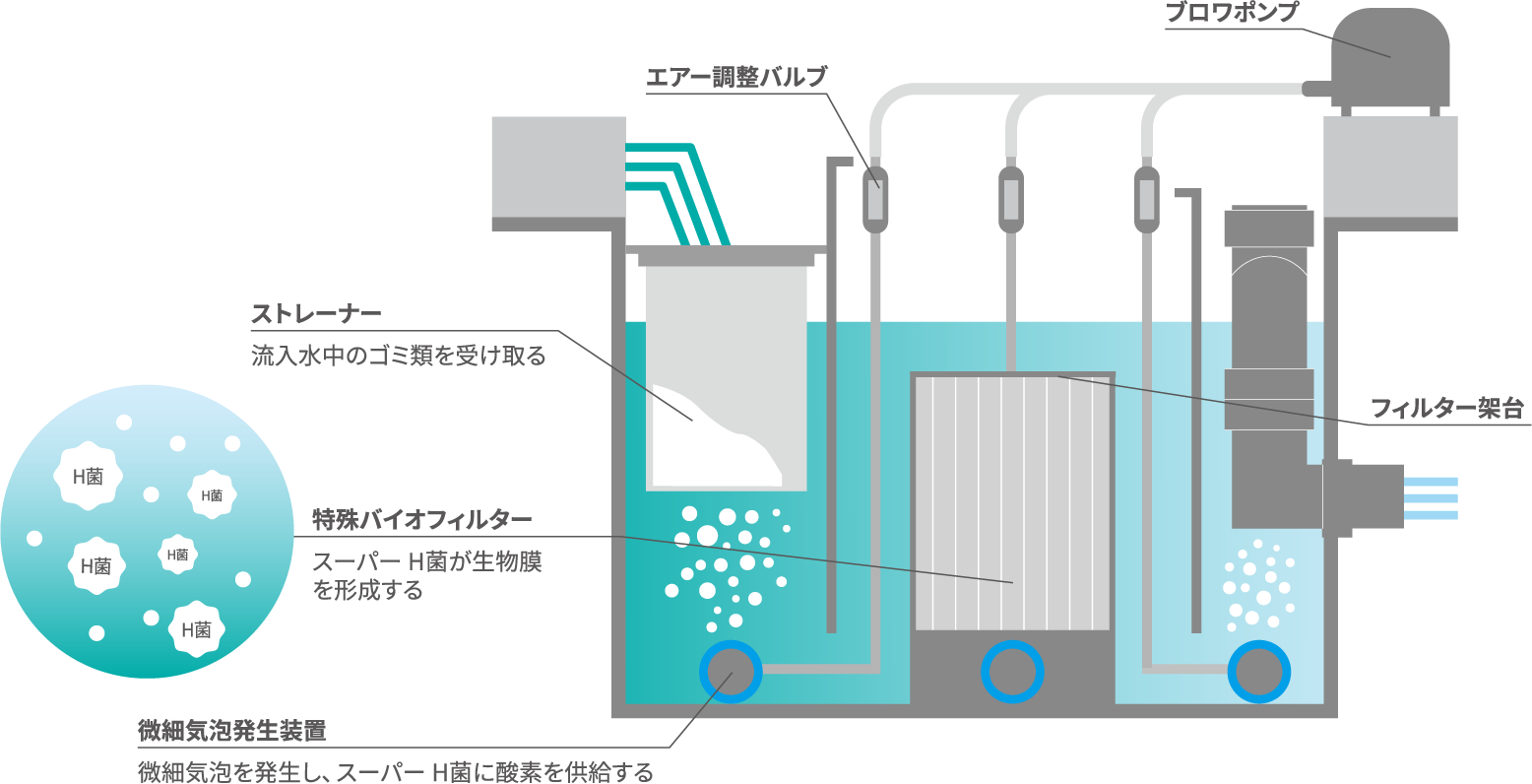 システムの説明