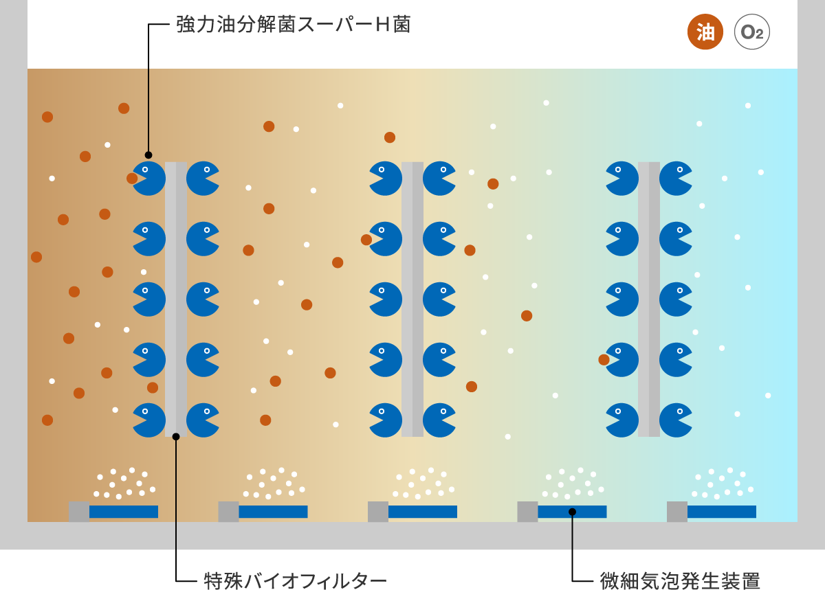 バイオ排水処理の流れ